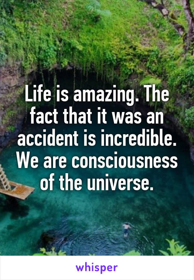 Life is amazing. The fact that it was an accident is incredible. We are consciousness of the universe.