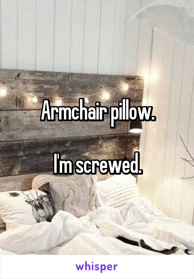 Armchair pillow.

I'm screwed.