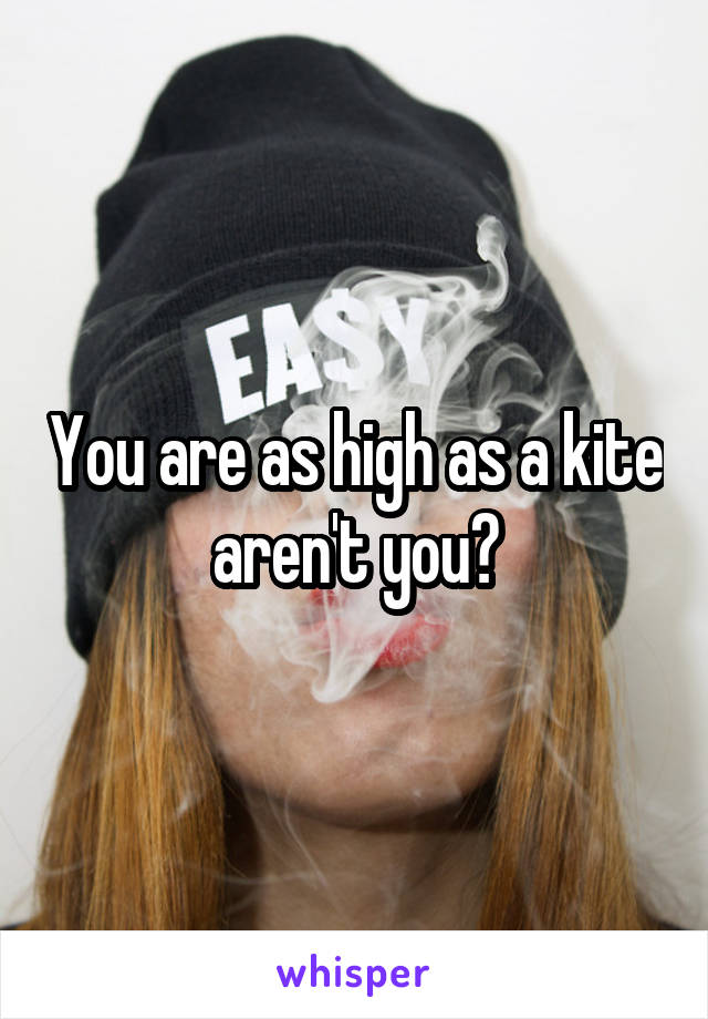 You are as high as a kite aren't you?