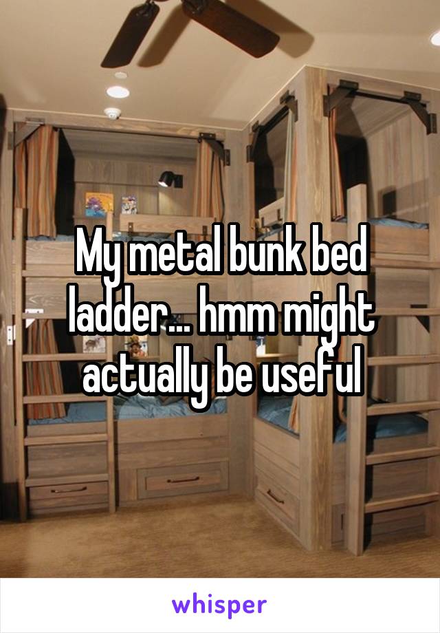 My metal bunk bed ladder... hmm might actually be useful