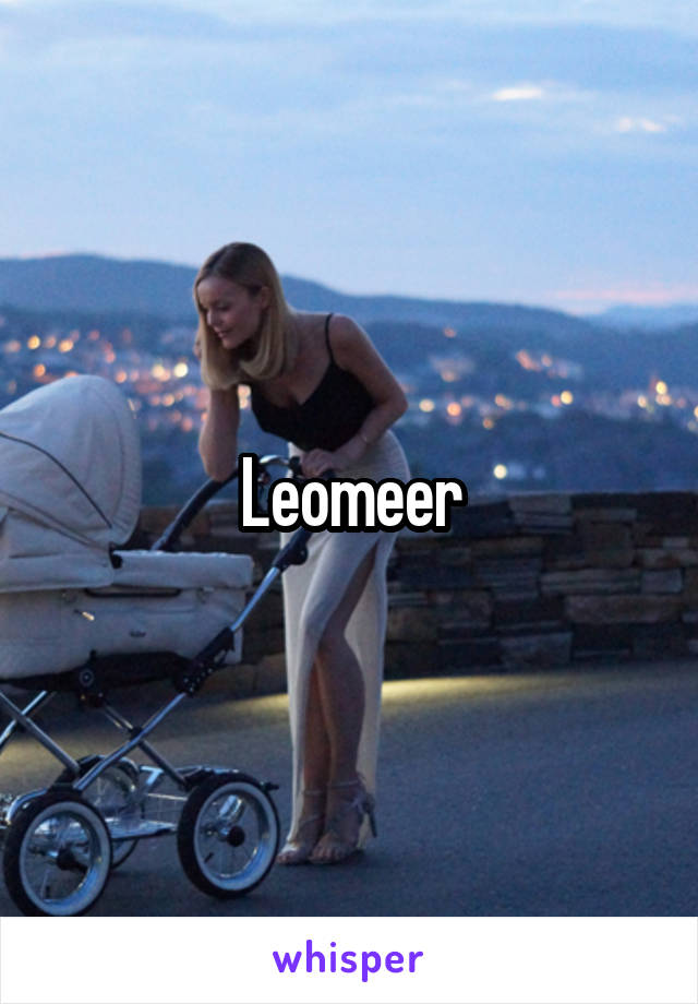 Leomeer