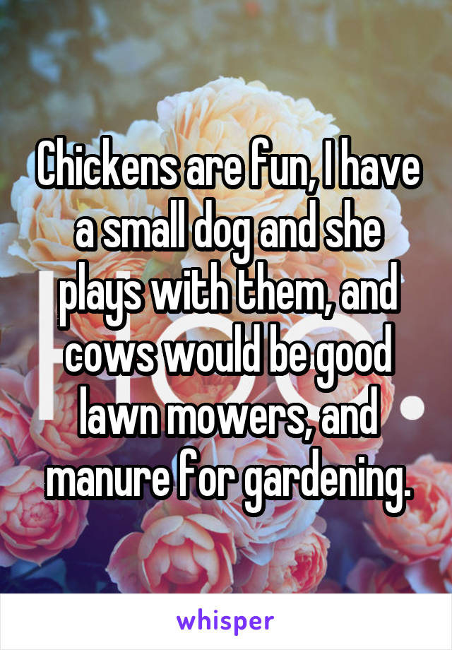 Chickens are fun, I have a small dog and she plays with them, and cows would be good lawn mowers, and manure for gardening.