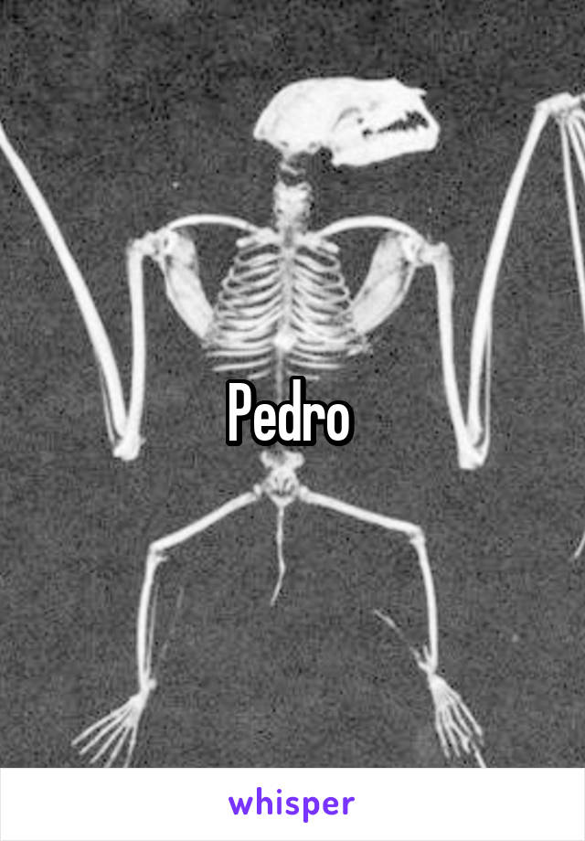 Pedro 