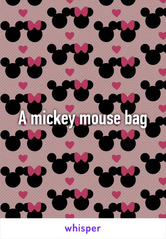 A mickey mouse bag