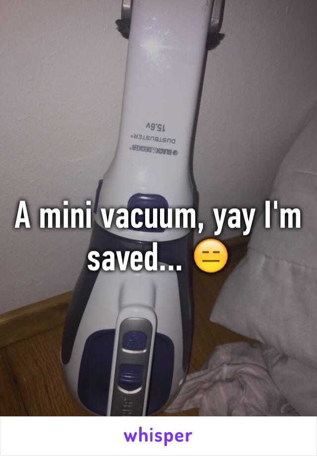 A mini vacuum, yay I'm saved... 😑