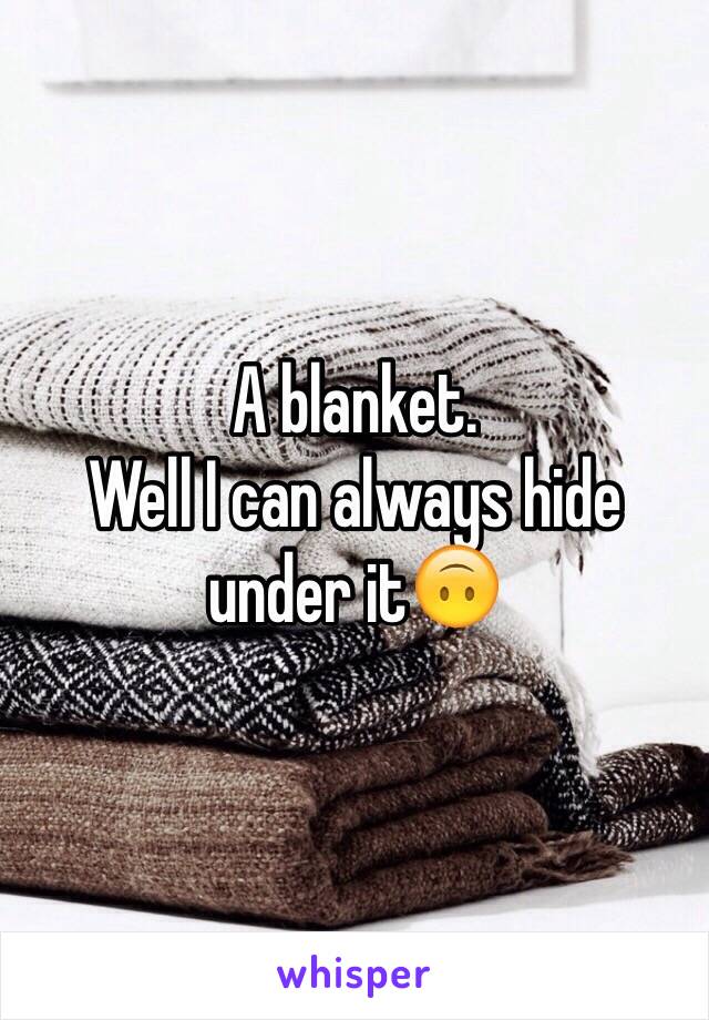 A blanket.
Well I can always hide under it🙃