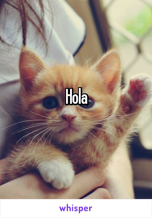 Hola
