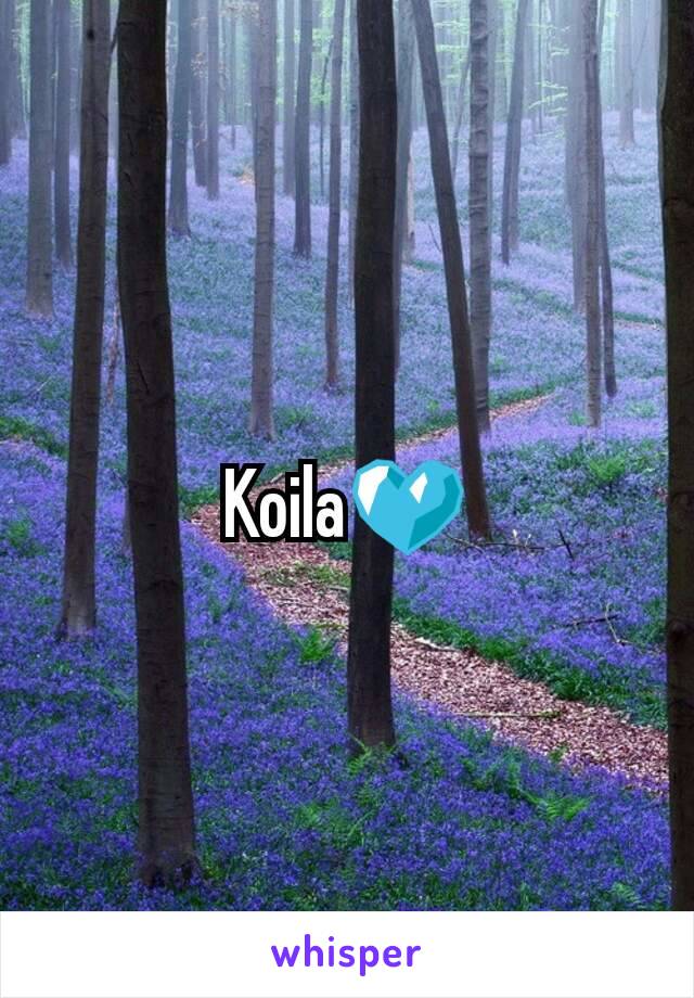 Koila💙