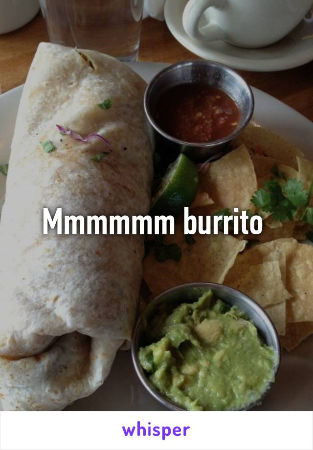 Mmmmmm burrito 