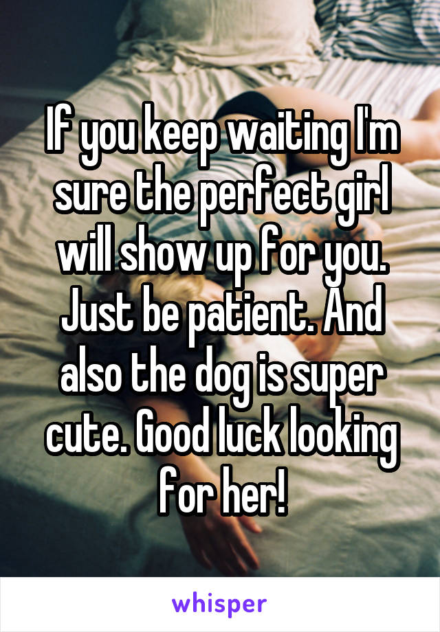 If you keep waiting I'm sure the perfect girl will show up for you. Just be patient. And also the dog is super cute. Good luck looking for her!