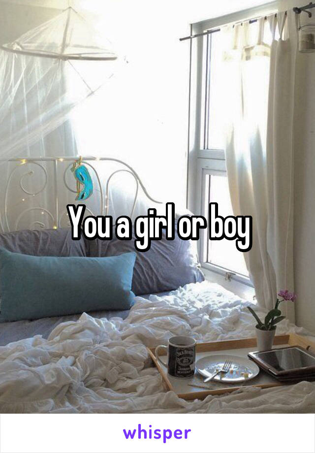 You a girl or boy