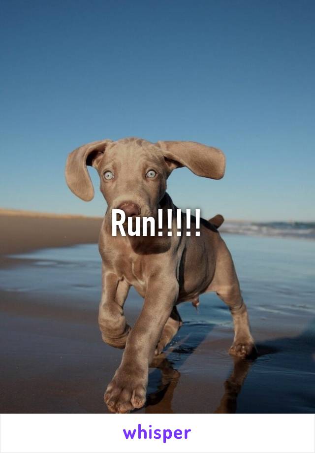 Run!!!!!