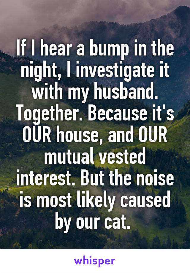 If I hear a bump in the night, I investigate it with my husband. Together. Because it's OUR house, and OUR mutual vested interest. But the noise is most likely caused by our cat. 