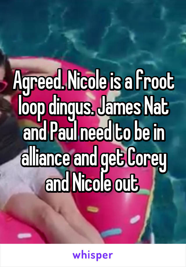 Agreed. Nicole is a froot loop dingus. James Nat and Paul need to be in alliance and get Corey and Nicole out 