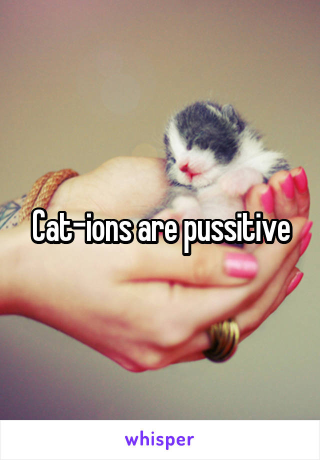 Cat-ions are pussitive