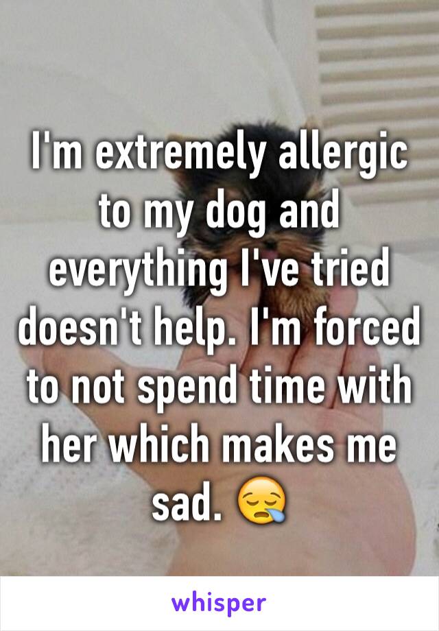 I'm extremely allergic to my dog and everything I've tried doesn't help. I'm forced to not spend time with her which makes me sad. 😪