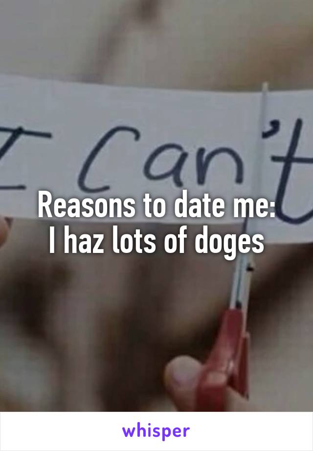 Reasons to date me:
I haz lots of doges