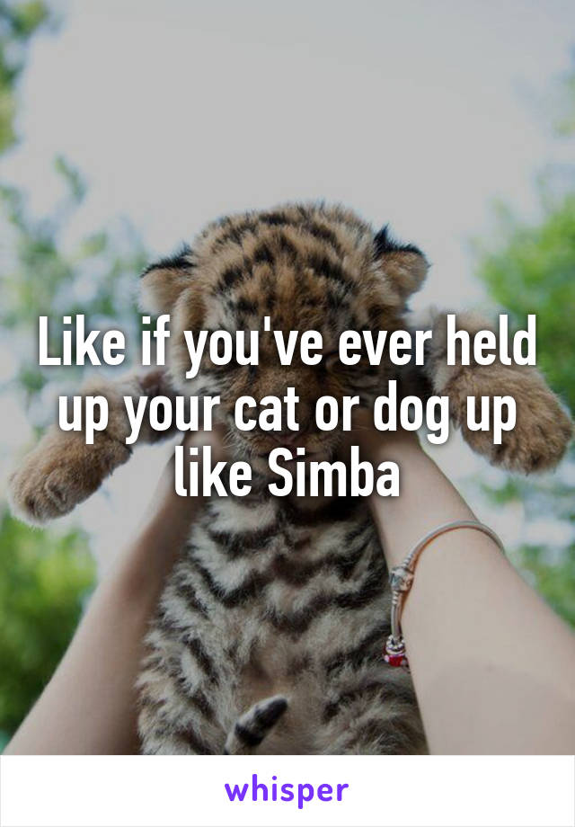 Like if you've ever held up your cat or dog up like Simba