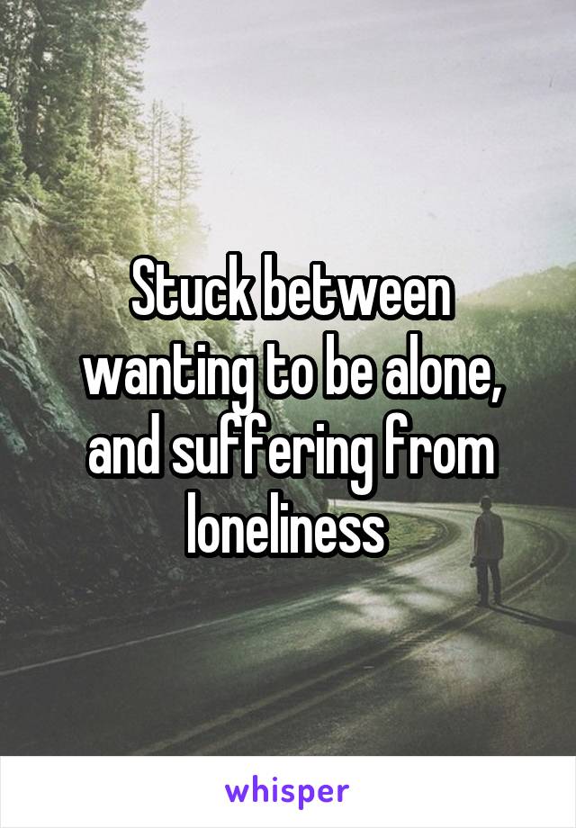 Stuck between wanting to be alone, and suffering from loneliness 