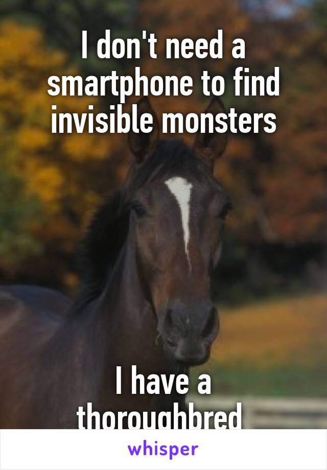 I don't need a smartphone to find invisible monsters






I have a thoroughbred 
