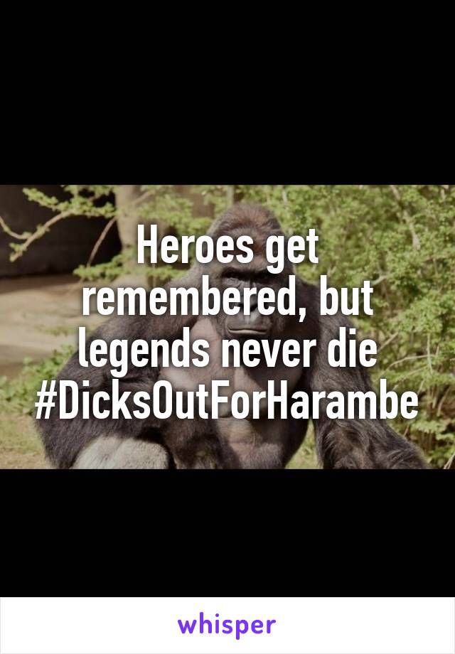 Heroes get remembered, but legends never die
#DicksOutForHarambe