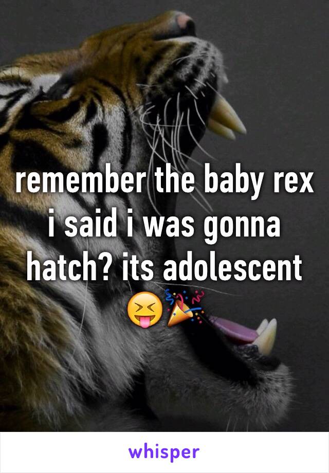 remember the baby rex  i said i was gonna hatch? its adolescent 😝🎉
