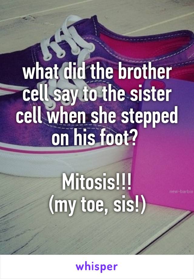 what did the brother cell say to the sister cell when she stepped on his foot? 

Mitosis!!!
(my toe, sis!)