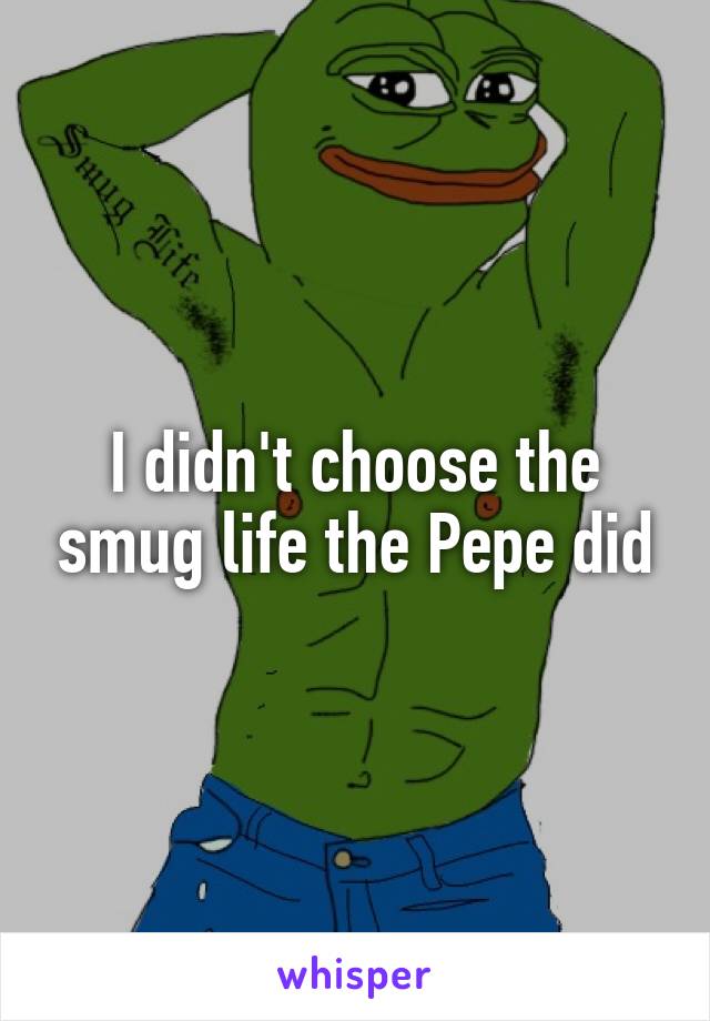 I didn't choose the smug life the Pepe did