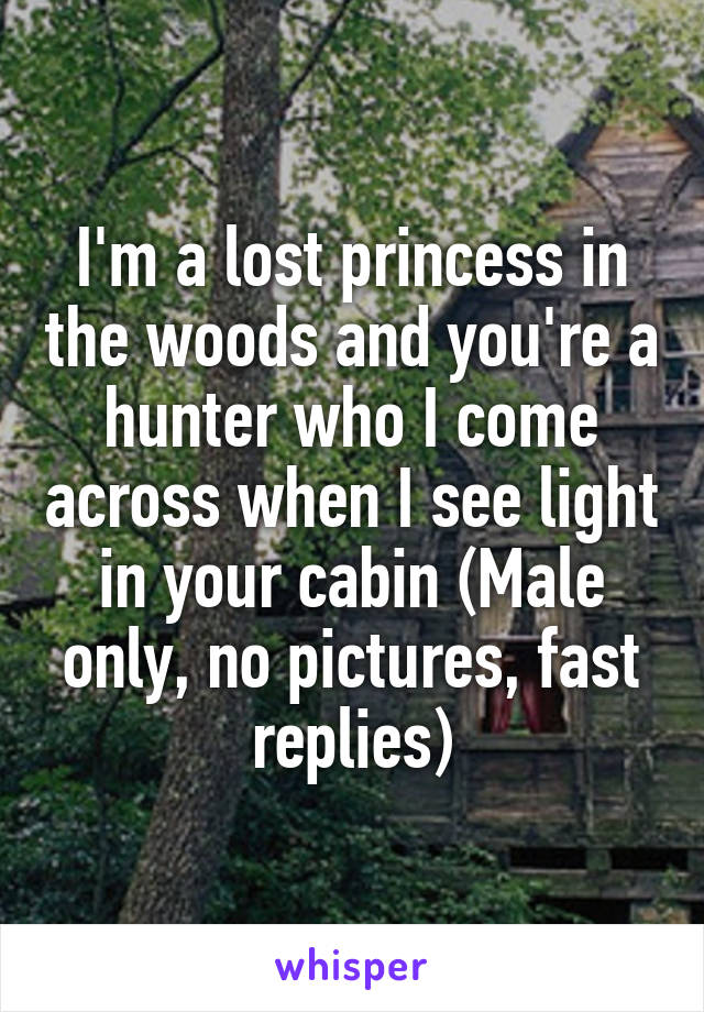 I'm a lost princess in the woods and you're a hunter who I come across when I see light in your cabin (Male only, no pictures, fast replies)