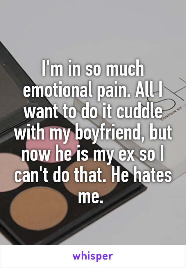 I'm in so much emotional pain. All I want to do it cuddle with my boyfriend, but now he is my ex so I can't do that. He hates me. 