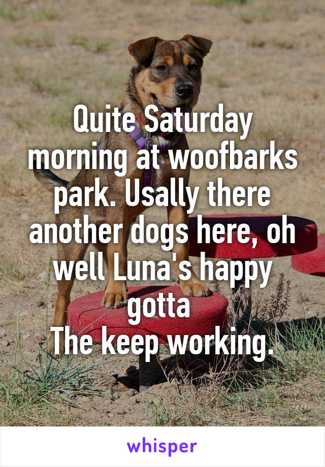 Quite Saturday morning at woofbarks park. Usally there another dogs here, oh well Luna's happy gotta 
The keep working.