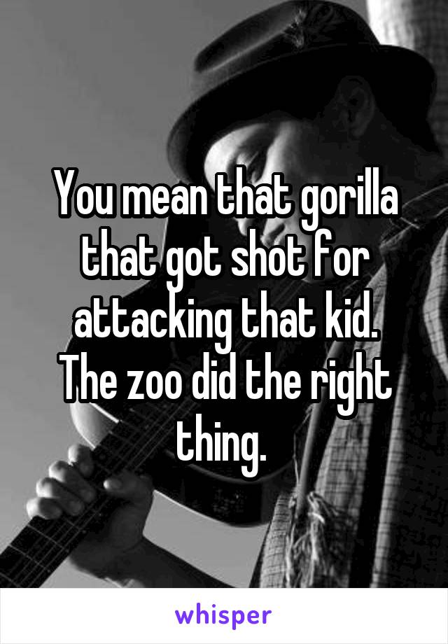 You mean that gorilla that got shot for attacking that kid.
The zoo did the right thing. 