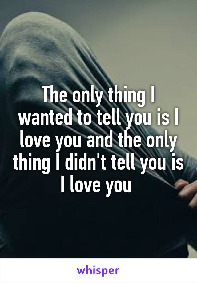 The only thing I wanted to tell you is I love you and the only thing I didn't tell you is I love you 