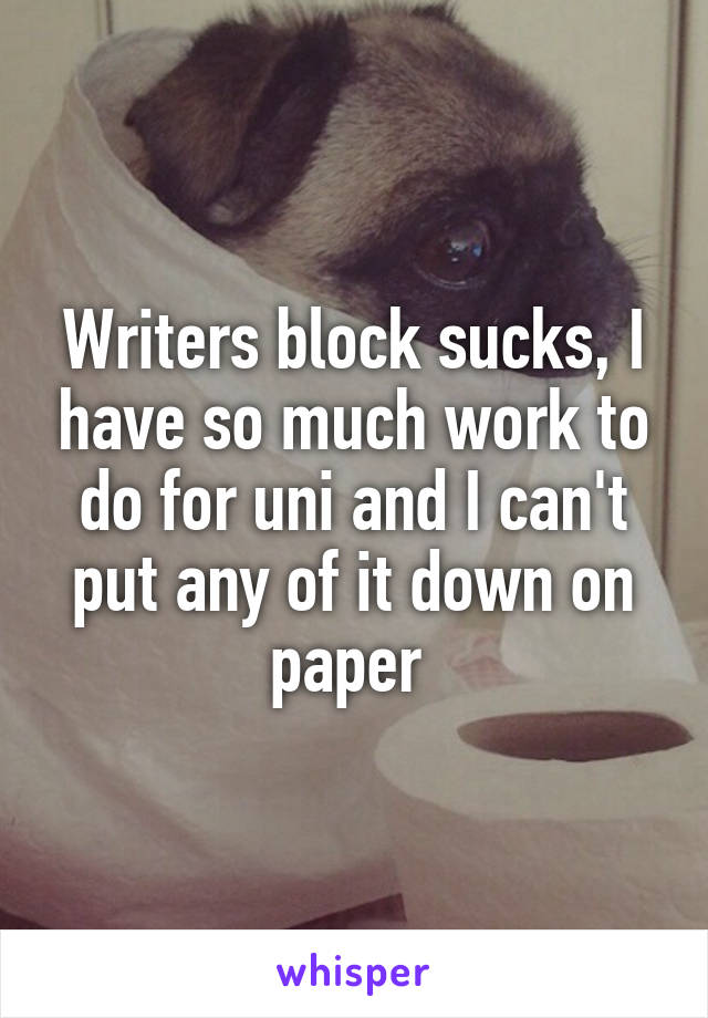 Writers block sucks, I have so much work to do for uni and I can't put any of it down on paper 