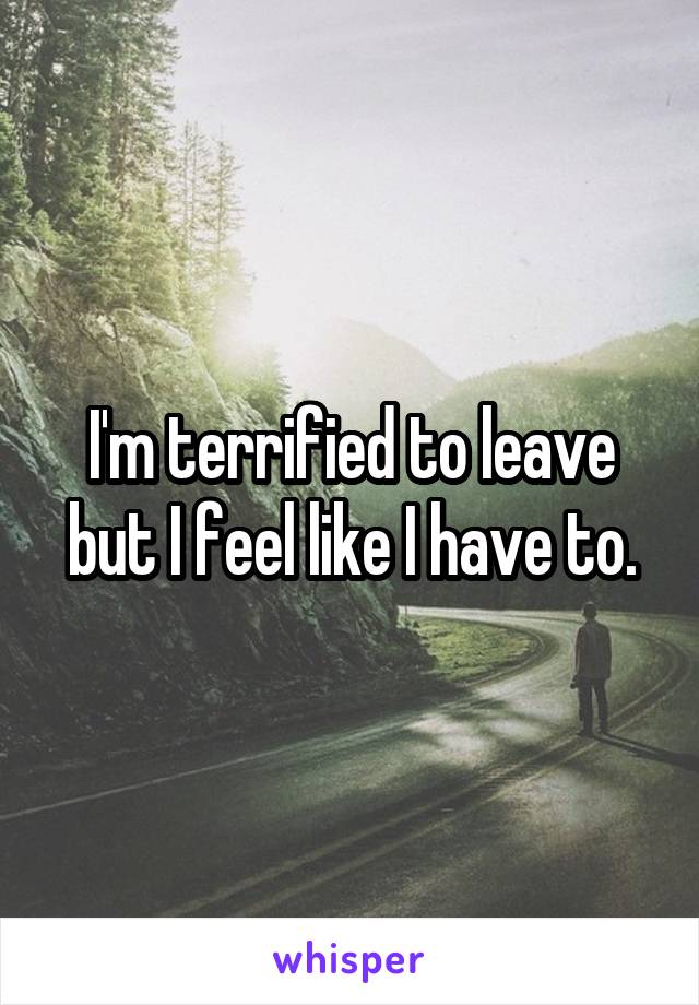I'm terrified to leave but I feel like I have to.