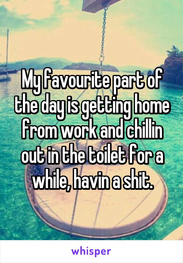 My favourite part of the day is getting home from work and chillin out in the toilet for a while, havin a shit.