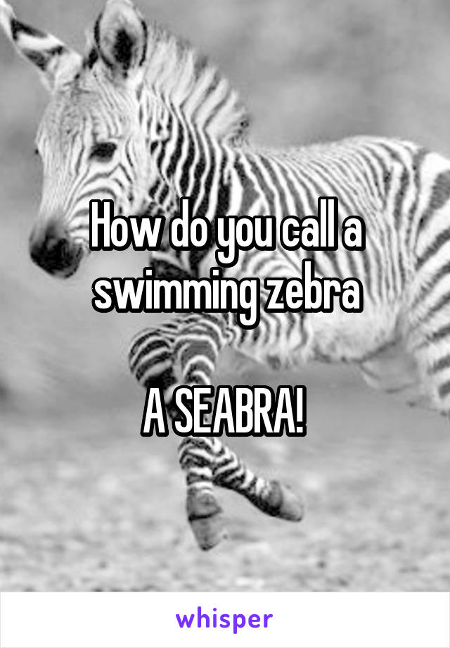 How do you call a swimming zebra

A SEABRA! 