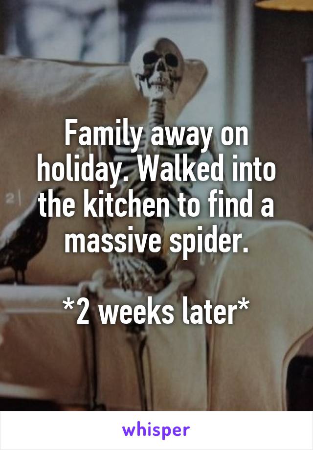Family away on holiday. Walked into the kitchen to find a massive spider.

*2 weeks later*