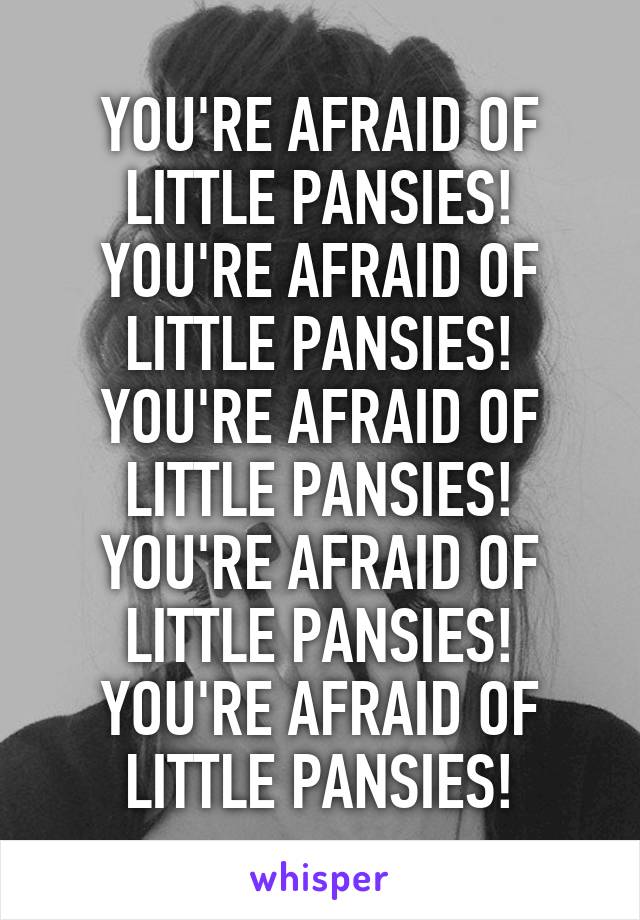 YOU'RE AFRAID OF LITTLE PANSIES!
YOU'RE AFRAID OF LITTLE PANSIES!
YOU'RE AFRAID OF LITTLE PANSIES!
YOU'RE AFRAID OF LITTLE PANSIES!
YOU'RE AFRAID OF LITTLE PANSIES!