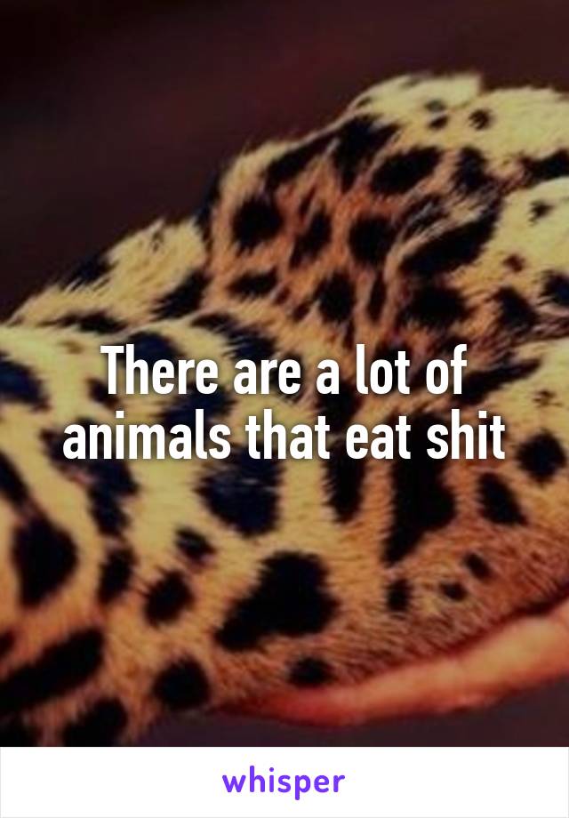 There are a lot of animals that eat shit
