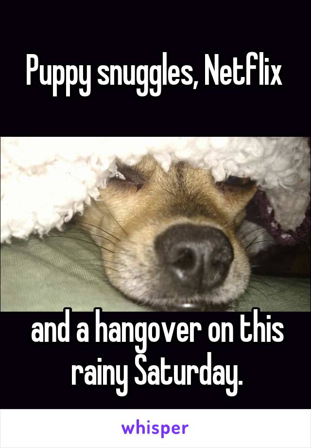 Puppy snuggles, Netflix 





and a hangover on this rainy Saturday.