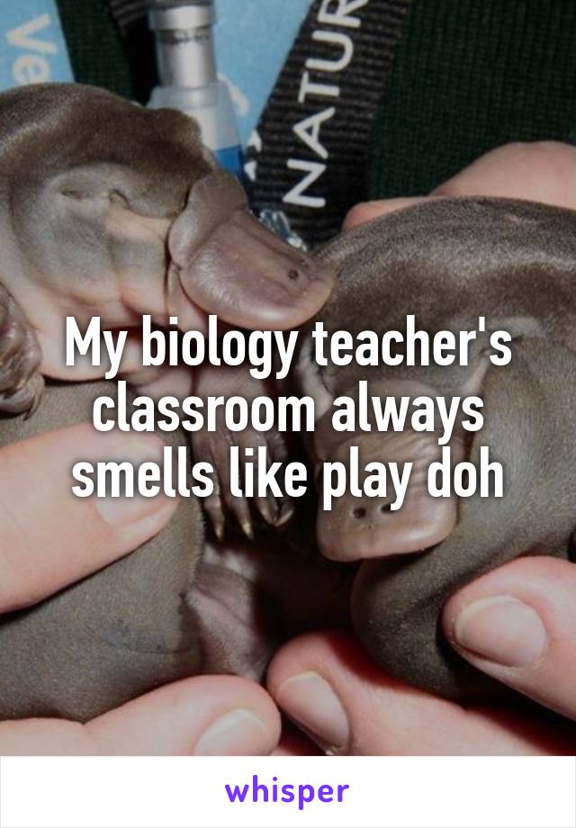 My biology teacher's classroom always smells like play doh
