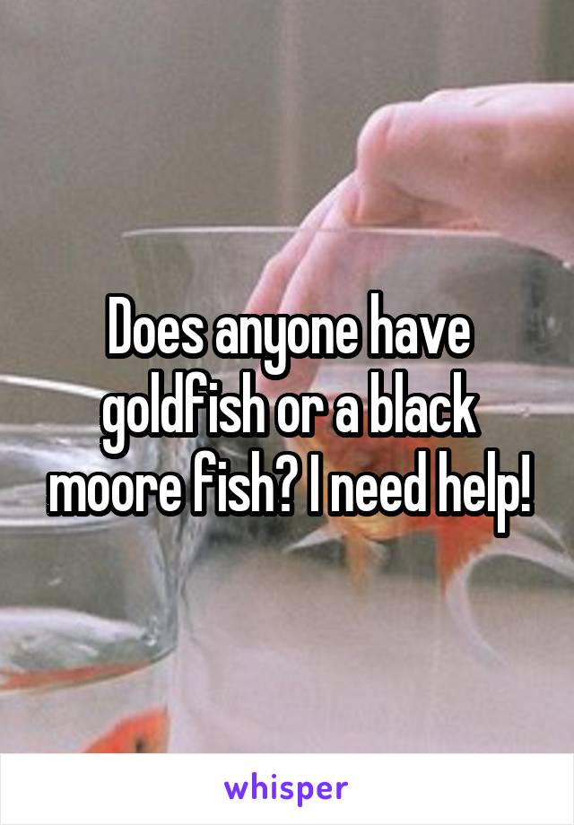 Does anyone have goldfish or a black moore fish? I need help!