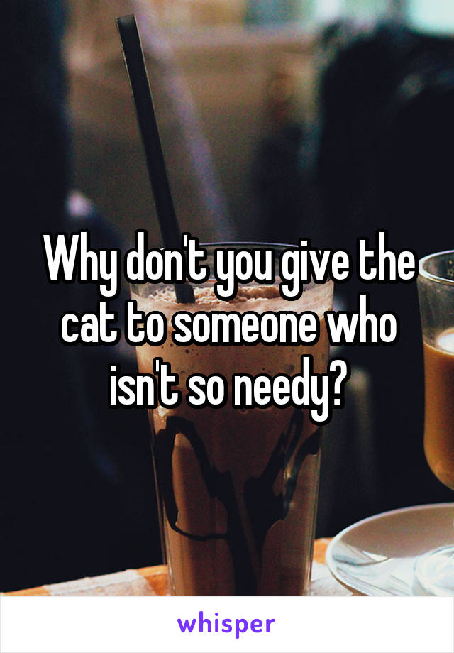 Why don't you give the cat to someone who isn't so needy?