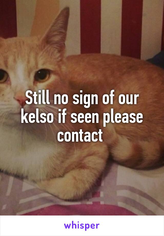 Still no sign of our kelso if seen please contact 