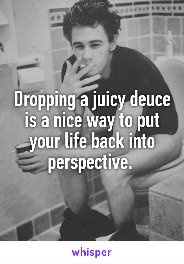 Dropping a juicy deuce is a nice way to put your life back into perspective. 