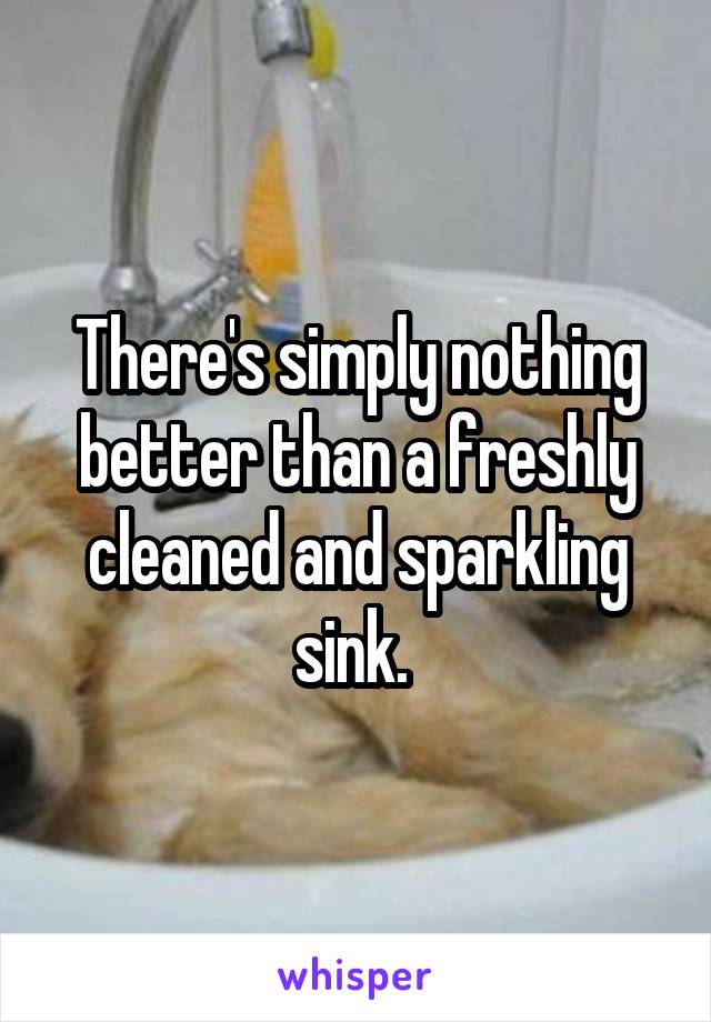 There's simply nothing better than a freshly cleaned and sparkling sink. 