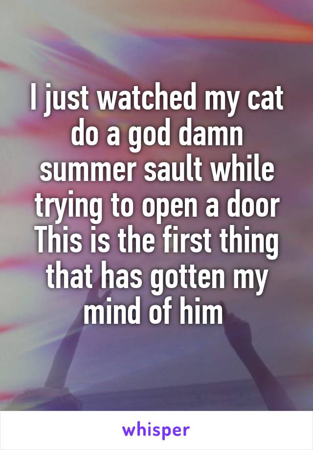 I just watched my cat do a god damn summer sault while trying to open a door
This is the first thing that has gotten my mind of him 
