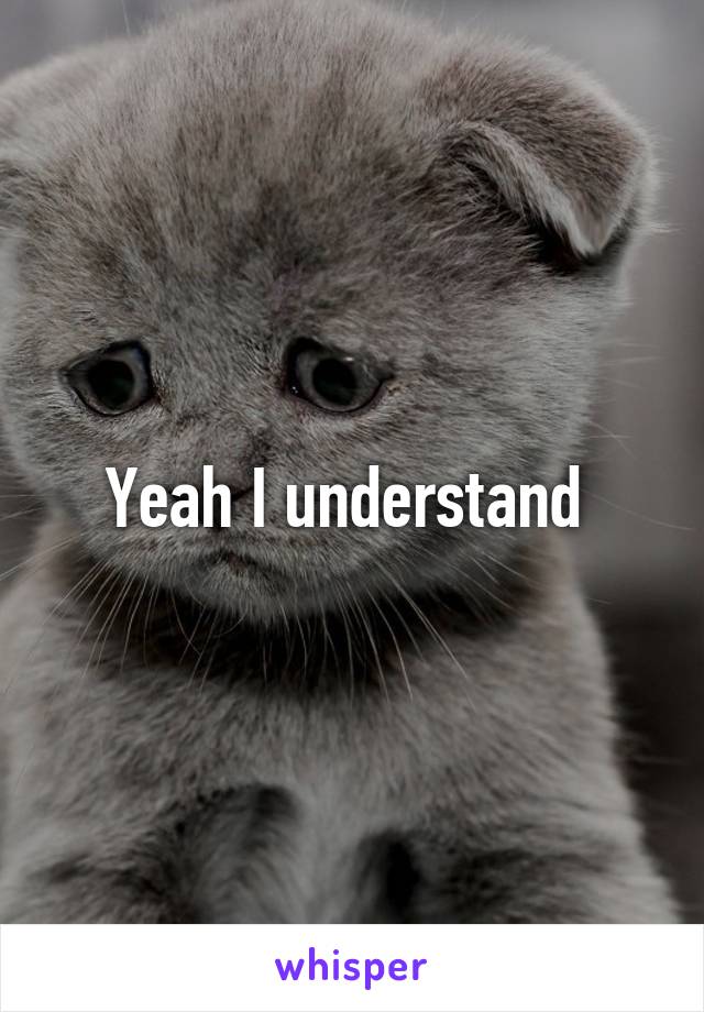 Yeah I understand 