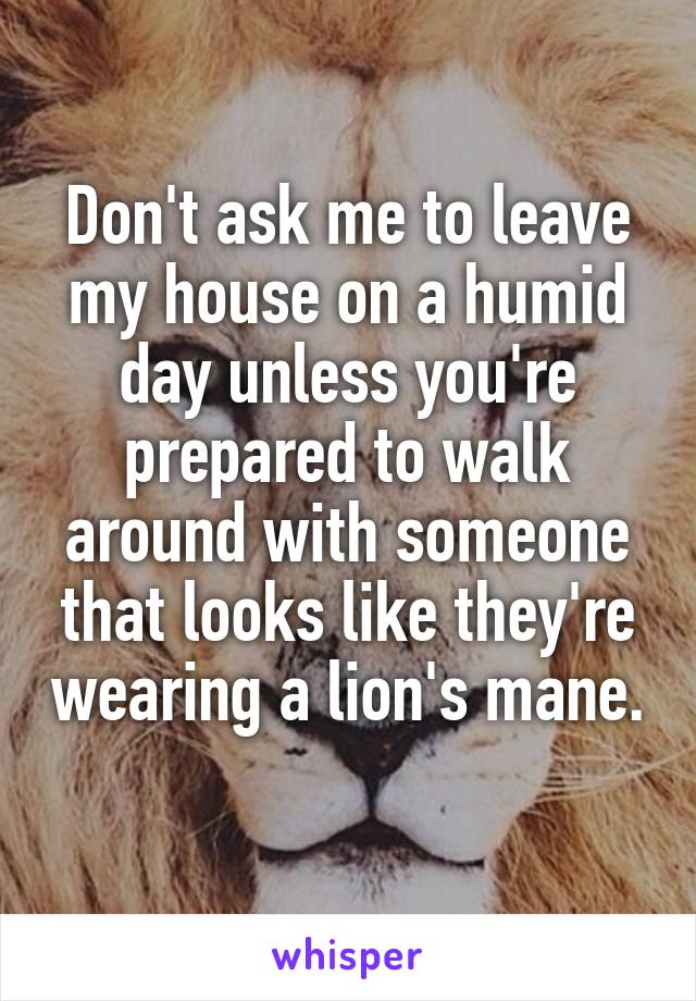 Don't ask me to leave my house on a humid day unless you're prepared to walk around with someone that looks like they're wearing a lion's mane. 
